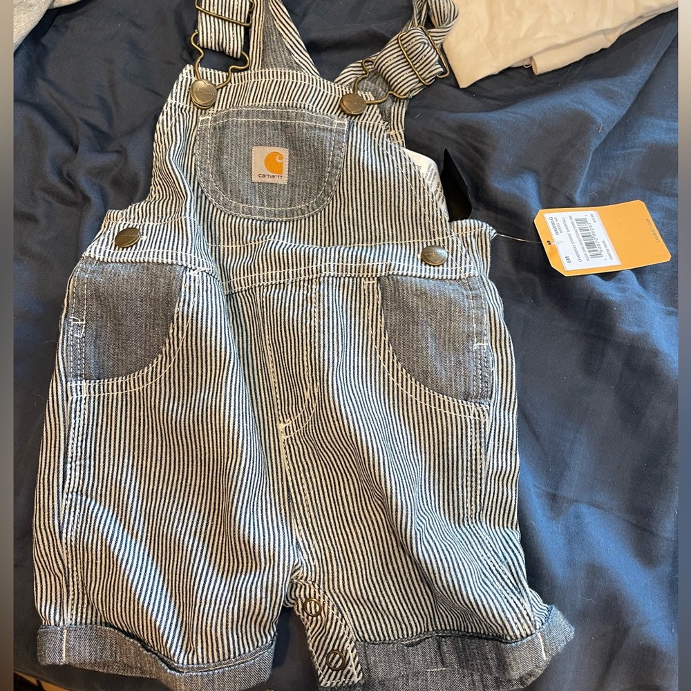 Carhartt Chambray Striped Overalls